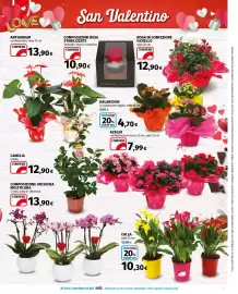 Volantino Ipercoop Pagina 25