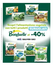 Volantino Ipercoop Pagina 48