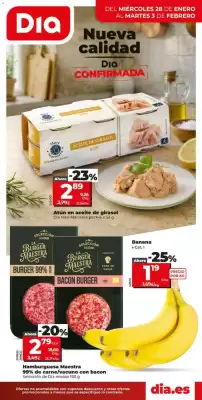Catálogo Dia Supermercados (válido hasta el 3-02)