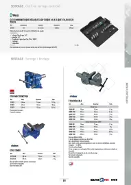 Catalogue Master Pro page 395