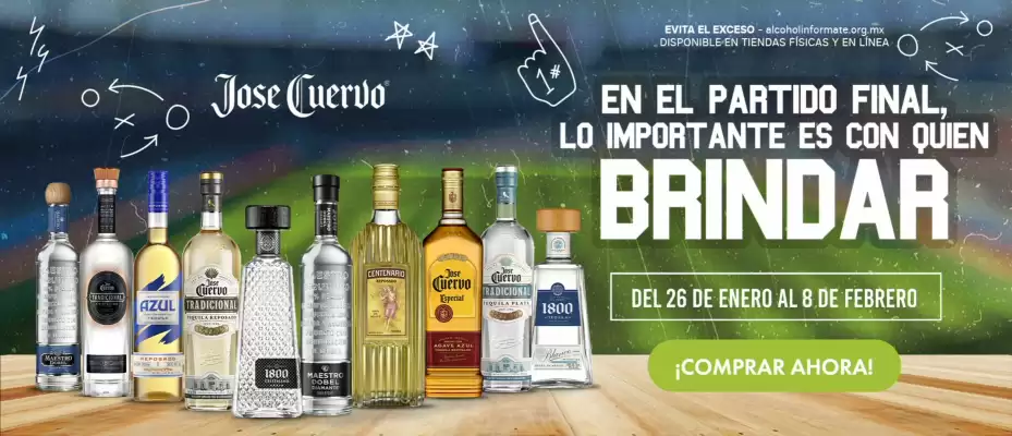 Folleto Bodegas Alianza (válido hasta 1-02)