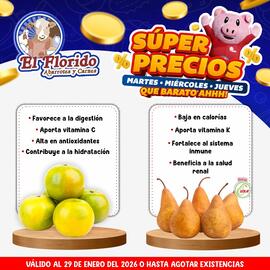 Folleto El Florido Página 2