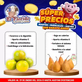 Folleto El Florido Página 2