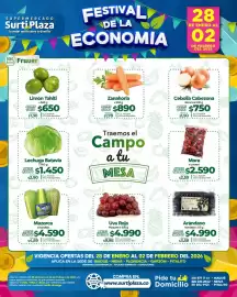 Catálogo Supermercados Surtiplaza semana 5 Página 2