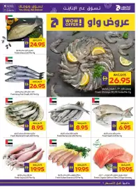 Abu Dhabi Coop leaflet week 5 Page 9