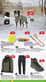 Raiffeisen Markt Prospekt Seite 2