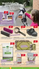 Raiffeisen Markt Prospekt Seite 6