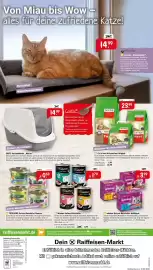 Raiffeisen Markt Prospekt Seite 8