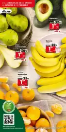 Folleto Dia Fresh semana 5 Página 4