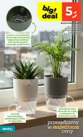 Dealz gazetka tydzień 5 Strona 36