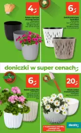Dealz gazetka tydzień 5 Strona 37