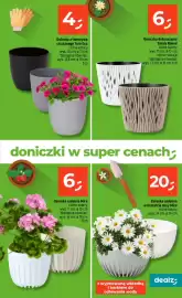 Dealz gazetka tydzień 5 Strona 37