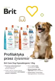 AquaelZOO gazetka Strona 16