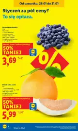 Lidl gazetka Strona 4