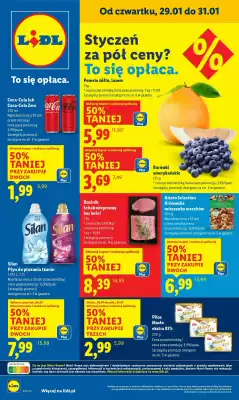 Lidl gazetka (ważność do 31-01)