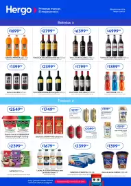 Revista Hergo semana 5 Página 3