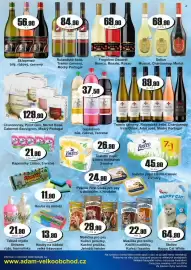 Adam leták týden 7 Strana 8
