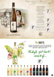 Adam leták Strana 29