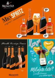 Adam leták Strana 31