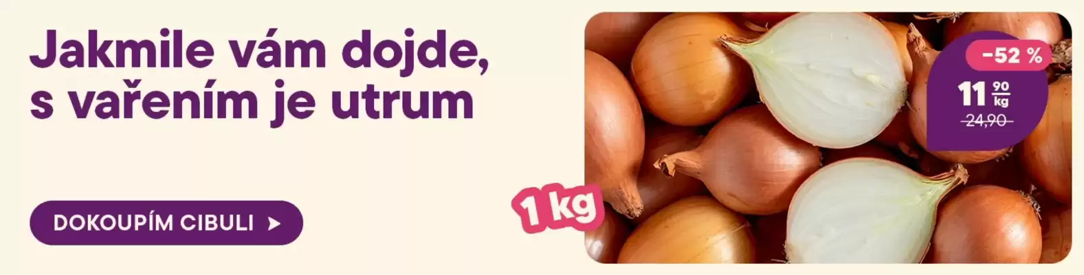 Košík leták (platné do 3-02)