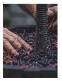 Skjold Burne tilbudsavis Side 12