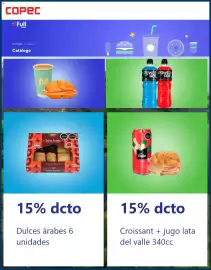 Catálogo Copec Página 3