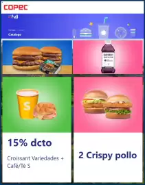 Catálogo Copec Página 4