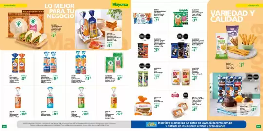 Catálogo Mayorsa Página 4