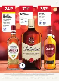 Stokrotka gazetka | Alkohole Strona 7