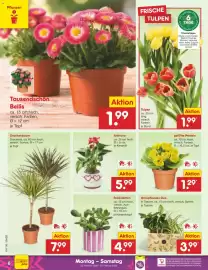 Netto Marken-Discount Prospekt woche 6 Seite 6