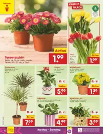 Netto Marken-Discount Prospekt woche 6 Seite 6