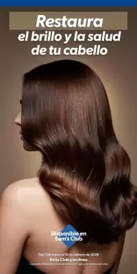 Catálogo Sam's Club (válido hasta 31-01)