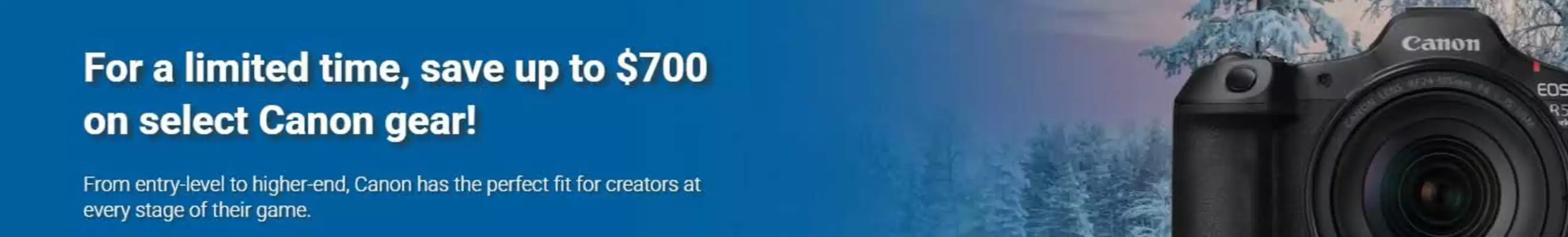 Vistek flyer (valid until 3-02)