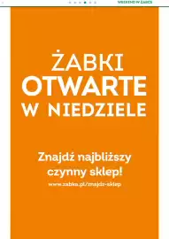 Żabka gazetka Strona 5