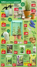 Thomas Philipps Prospekt woche 6 Seite 5