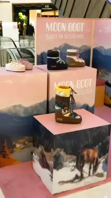 Catálogo Palacio de Hierro (válido hasta 31-01)