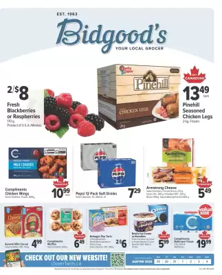 Bidgood's flyer (valid until 4-02)