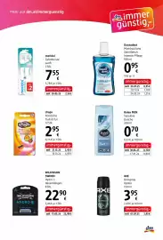 Dm Flugblatt Seite 5