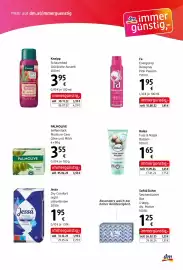 Dm Flugblatt Seite 6