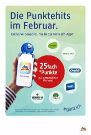 Dm Flugblatt Seite 8