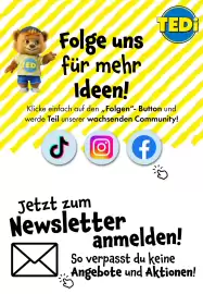 TEDi Prospekt Seite 13