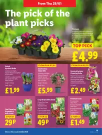 Lidl leaflet Page 19