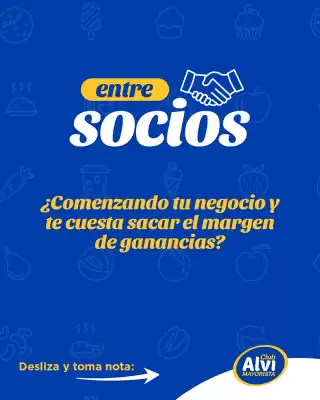 Catálogo Alvi (válido hasta 29-01)