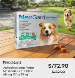 Catálogo Oechsle Página 15