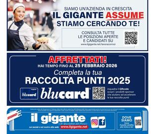 Volantino Il Gigante Pagina 36