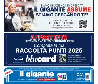 Volantino Il Gigante Pagina 36