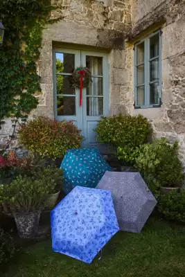 Catálogo Women'Secret (válido hasta 29-01)