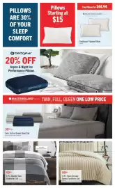 The Brick flyer Page 7