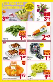 Billa Flugblatt woche 5 Seite 8