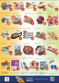 Nesto catalogue Page 3